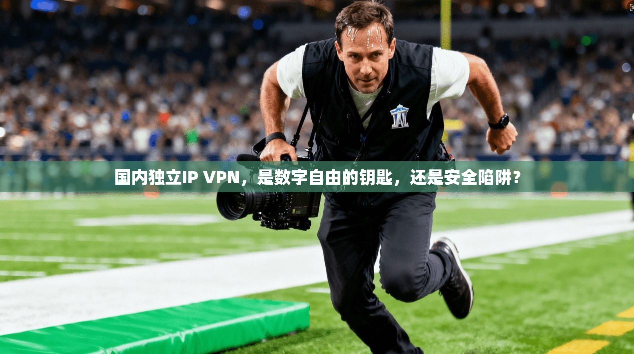 国内独立IP VPN，是数字自由的钥匙，还是安全陷阱？