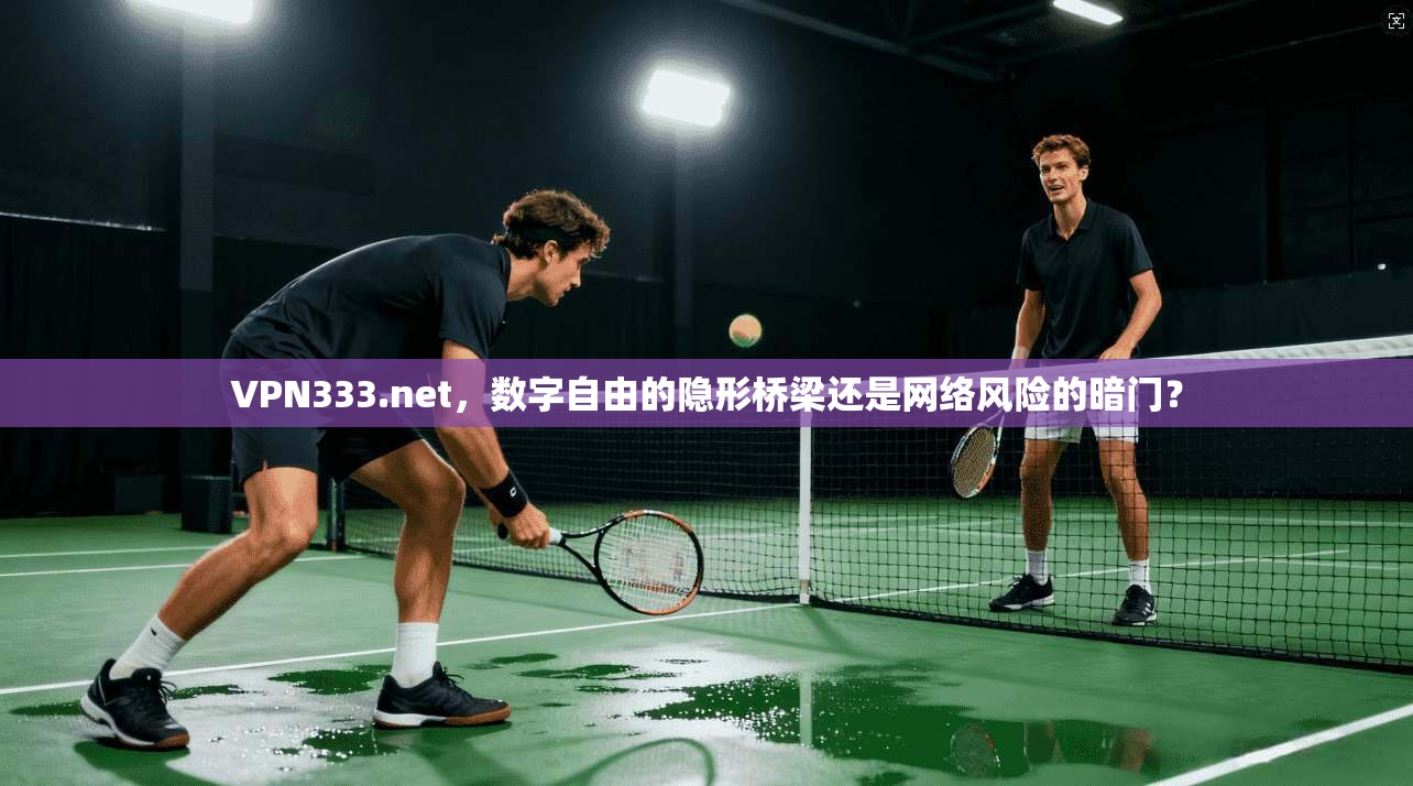 VPN333.net,数字自由的隐形桥梁还是网络风险的暗门?