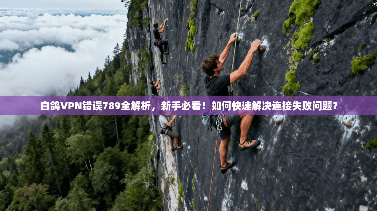 白鸽VPN错误789全解析，新手必看！如何快速解决连接失败问题？