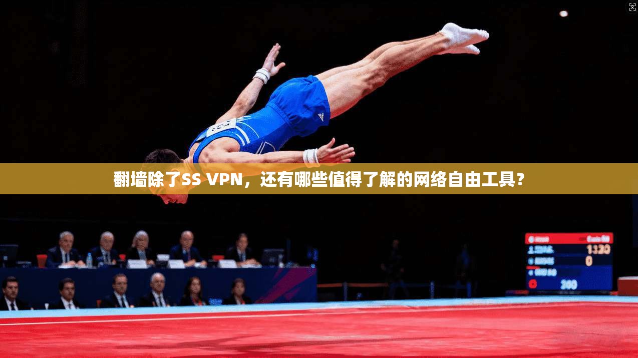 翻墙除了SS VPN,还有哪些值得了解的网络自由工具?