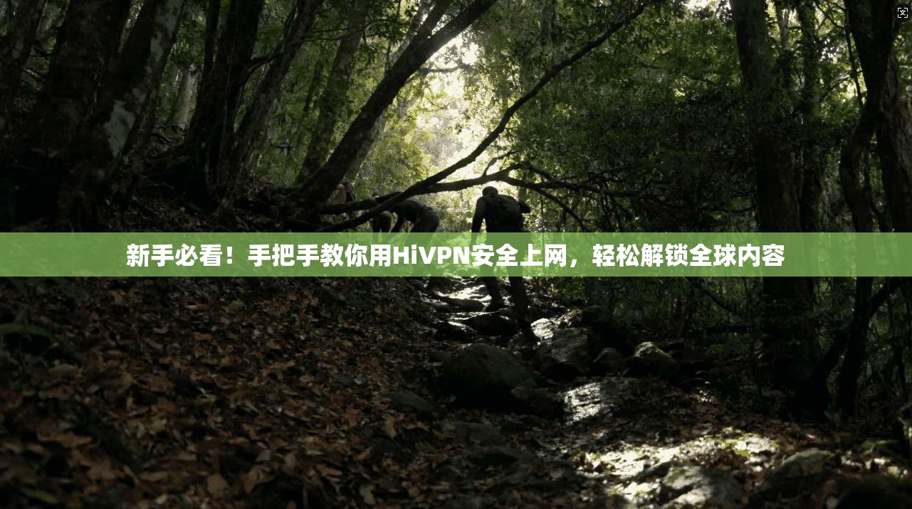 新手必看！手把手教你用HiVPN安全上网，轻松解锁全球内容