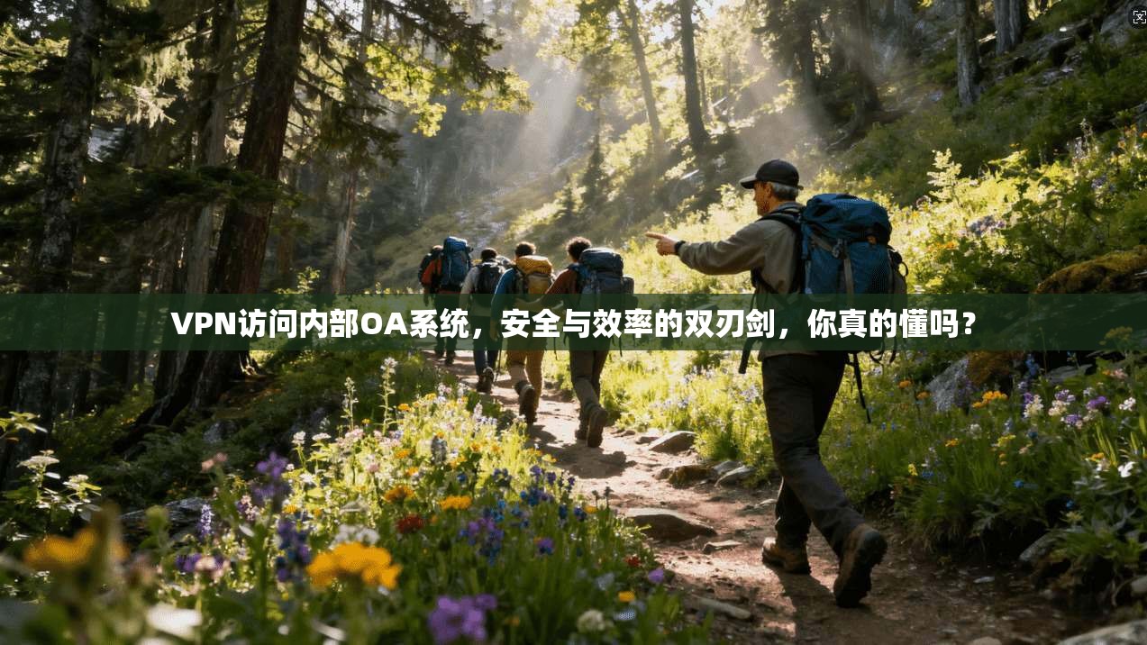 VPN访问内部OA系统，安全与效率的双刃剑，你真的懂吗？