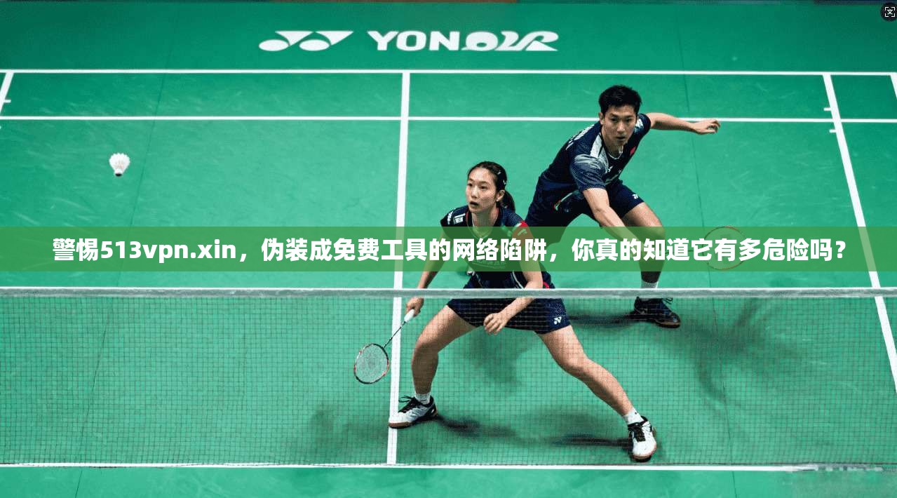警惕513vpn.xin,伪装成免费工具的网络陷阱,你真的知道它有多危险吗?