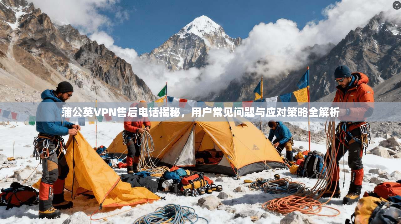 蒲公英VPN售后电话揭秘，用户常见问题与应对策略全解析