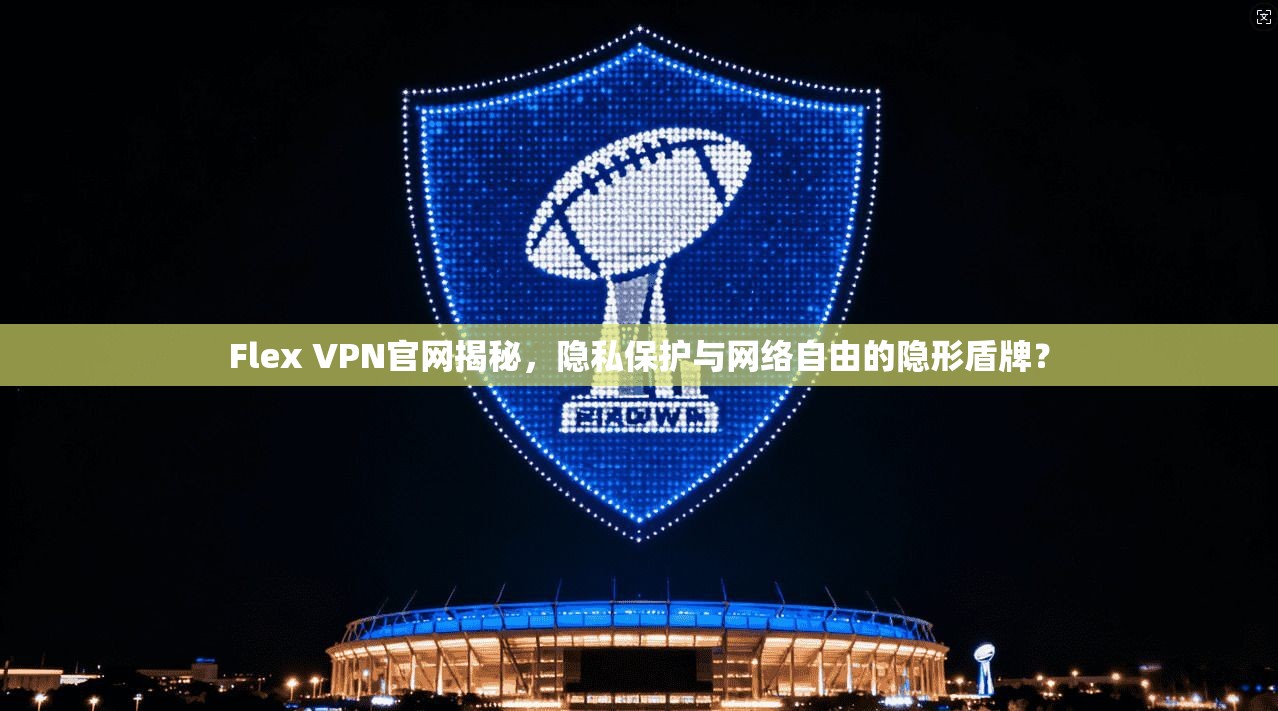 Flex VPN官网揭秘，隐私保护与网络自由的隐形盾牌？