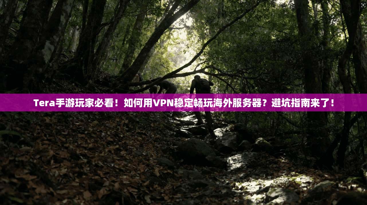 Tera手游玩家必看！如何用VPN稳定畅玩海外服务器？避坑指南来了！
