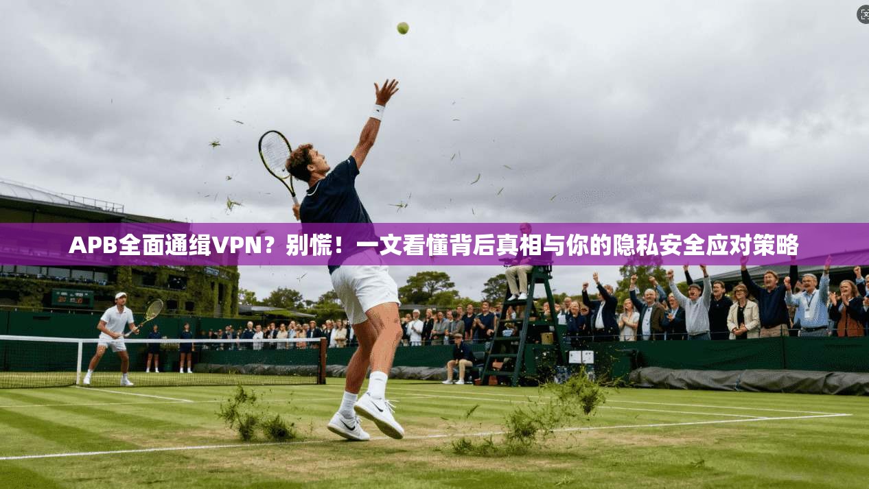 APB全面通缉VPN？别慌！一文看懂背后真相与你的隐私安全应对策略