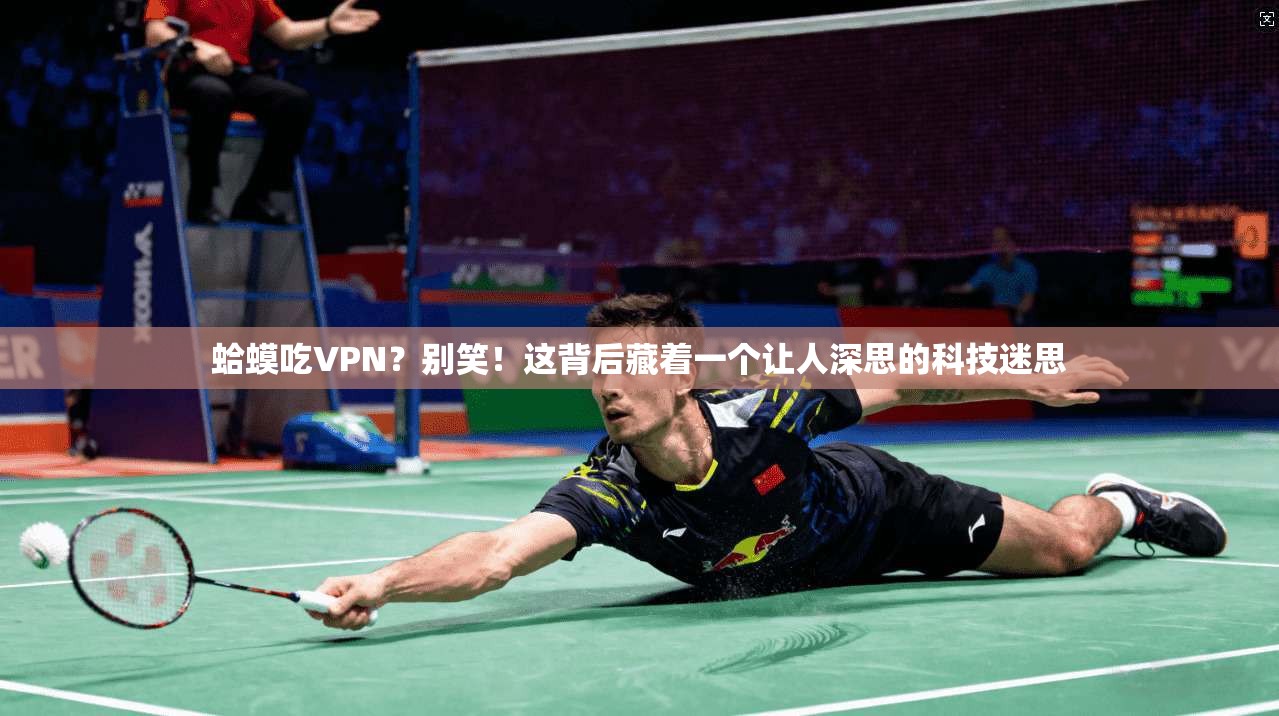 蛤蟆吃VPN？别笑！这背后藏着一个让人深思的科技迷思
