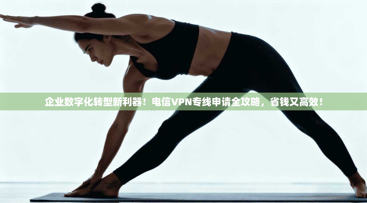 企业数字化转型新利器！电信VPN专线申请全攻略，省钱又高效！