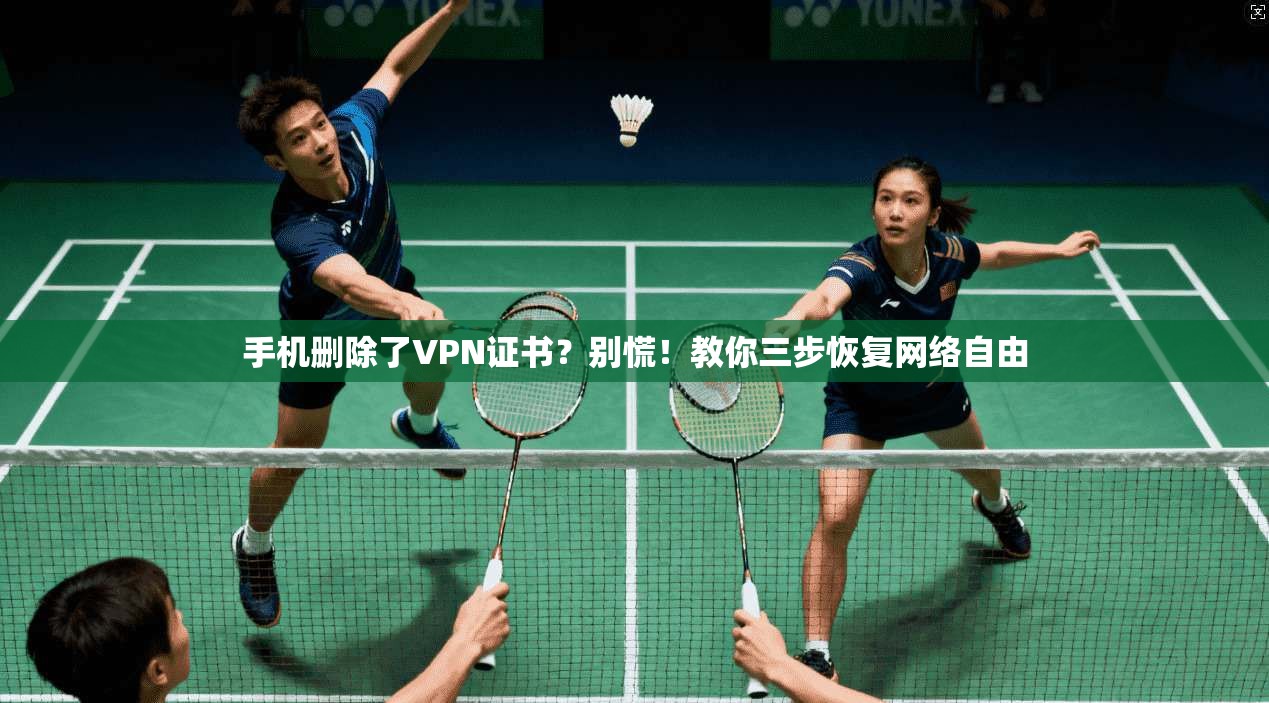 手机删除了VPN证书?别慌!教你三步恢复网络自由