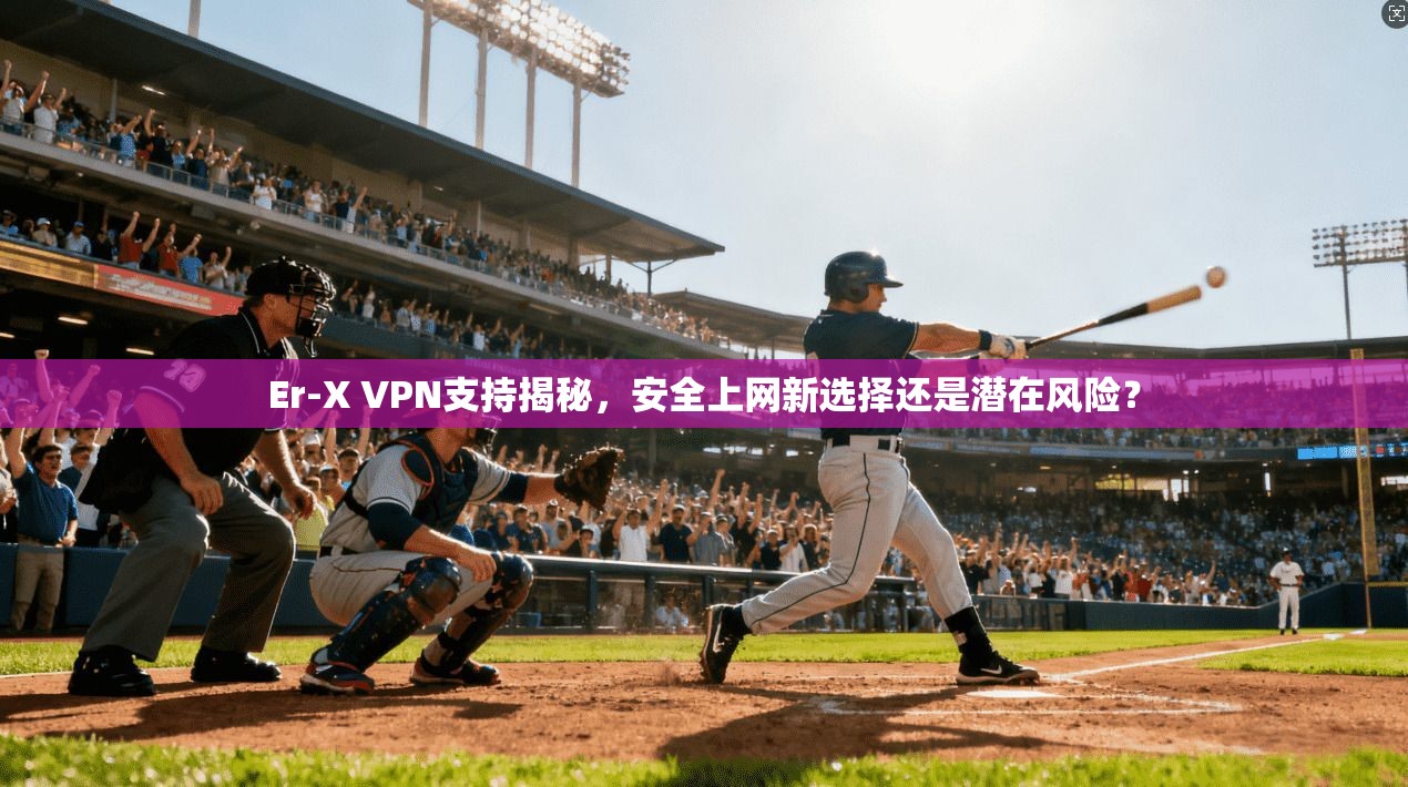 Er-X VPN支持揭秘，安全上网新选择还是潜在风险？