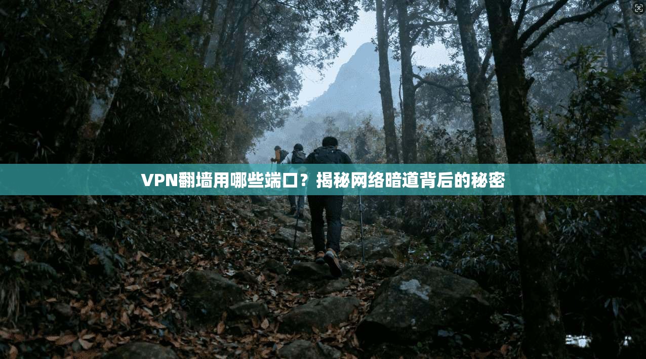 VPN翻墙用哪些端口?揭秘网络暗道背后的秘密