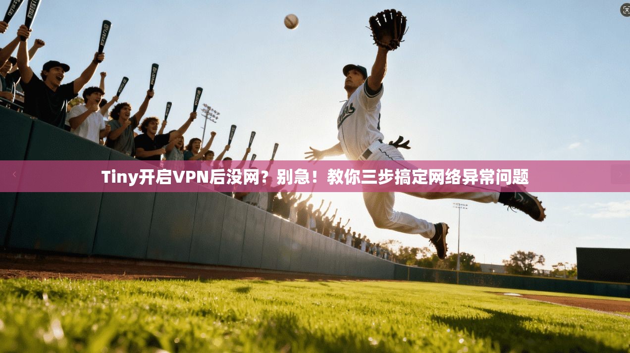 Tiny开启VPN后没网？别急！教你三步搞定网络异常问题