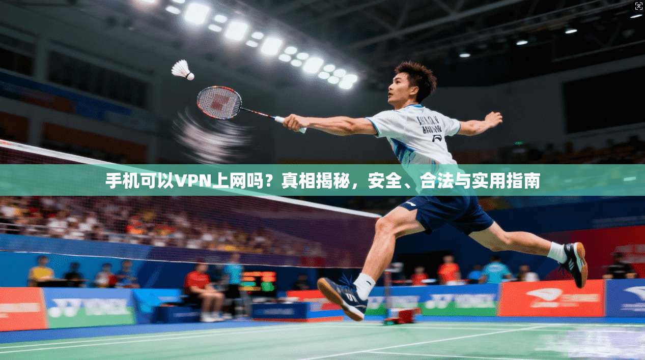 手机可以VPN上网吗？真相揭秘，安全、合法与实用指南