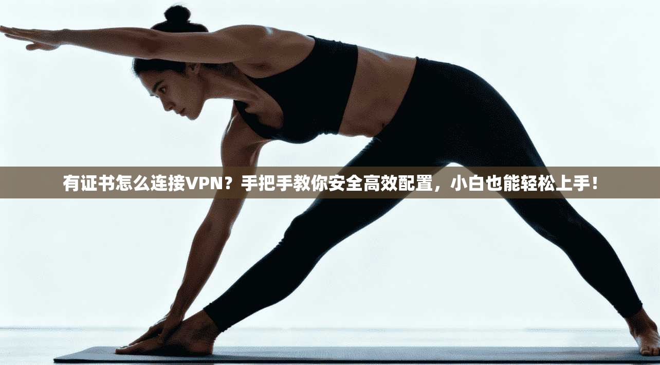 有证书怎么连接VPN?手把手教你安全高效配置,小白也能轻松上手!