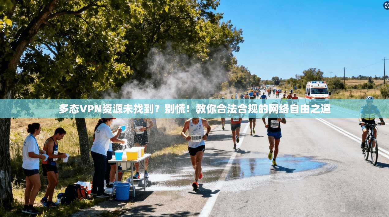 多态VPN资源未找到？别慌！教你合法合规的网络自由之道