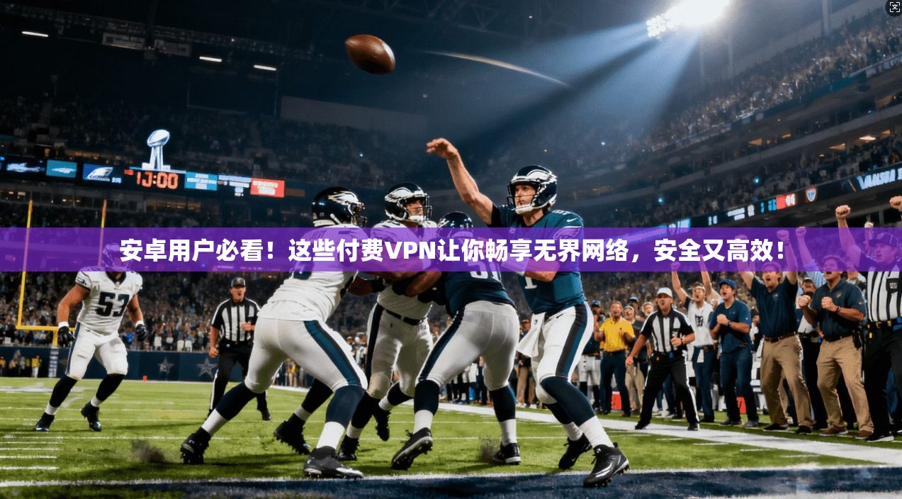 安卓用户必看!这些付费VPN让你畅享无界网络,安全又高效!
