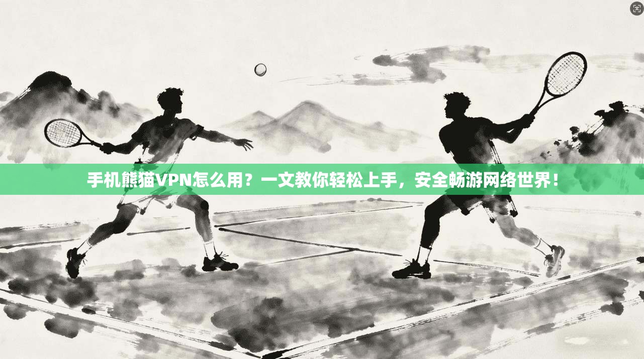 手机熊猫VPN怎么用？一文教你轻松上手，安全畅游网络世界！