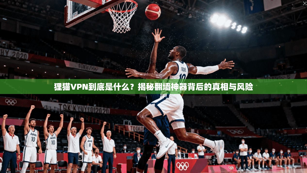 狸猫VPN到底是什么？揭秘翻墙神器背后的真相与风险