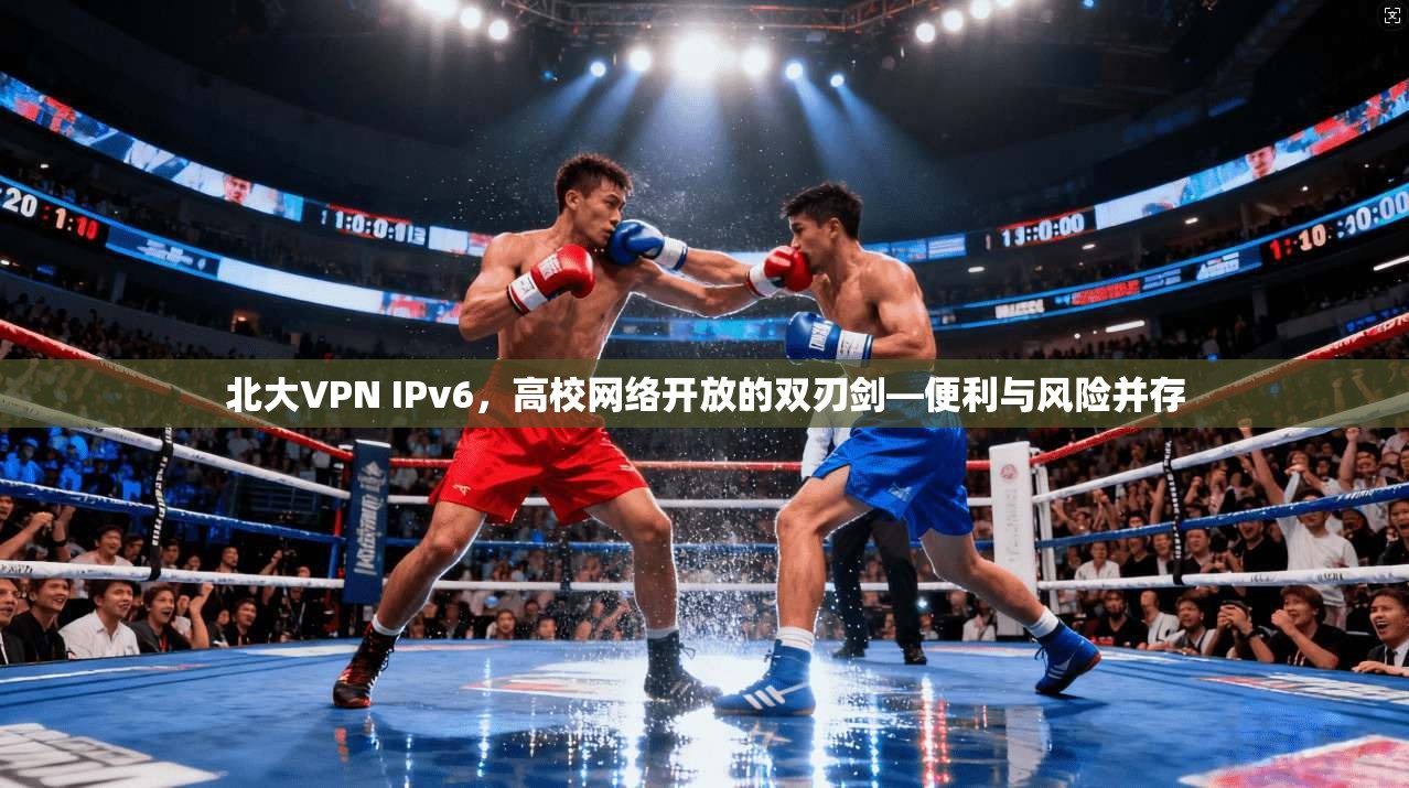 北大VPN IPv6，高校网络开放的双刃剑—便利与风险并存
