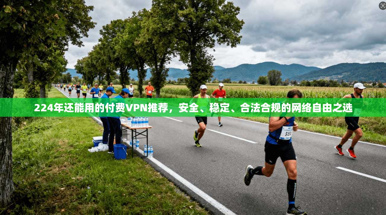224年还能用的付费VPN推荐，安全、稳定、合法合规的网络自由之选