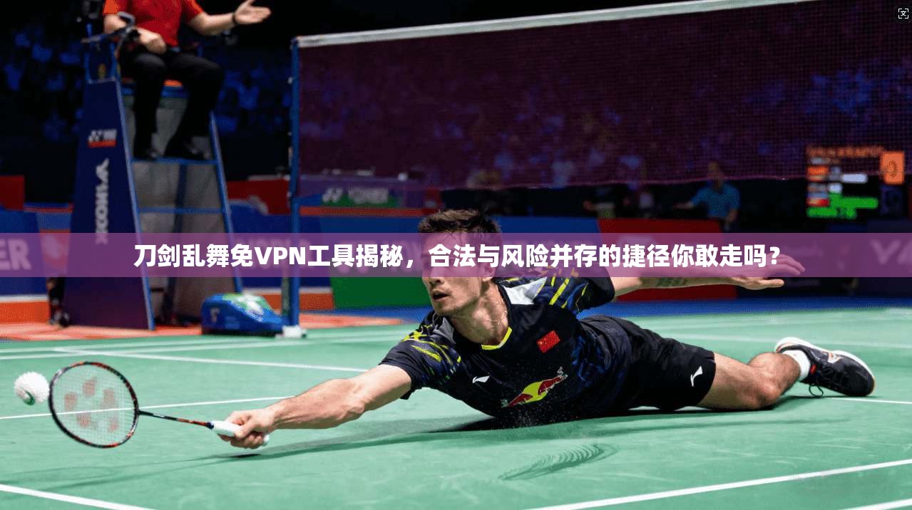 刀剑乱舞免VPN工具揭秘，合法与风险并存的捷径你敢走吗？