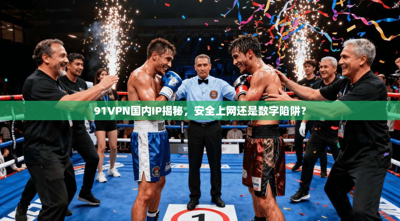 91VPN国内IP揭秘，安全上网还是数字陷阱？