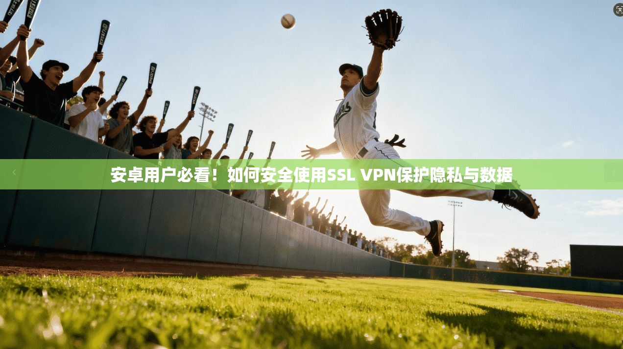 安卓用户必看！如何安全使用SSL VPN保护隐私与数据