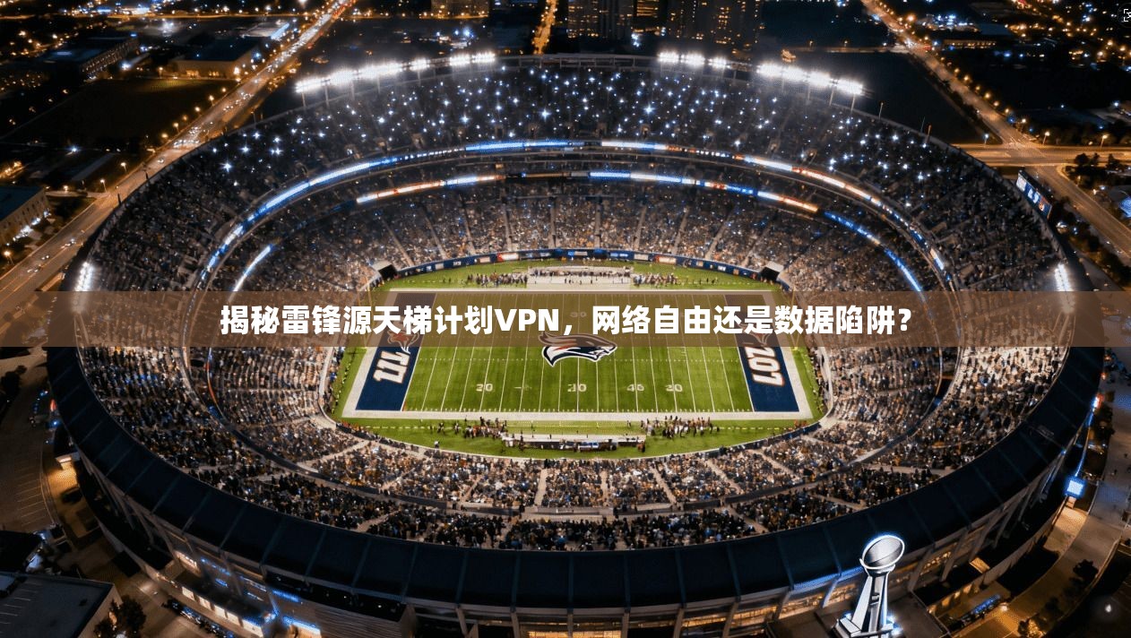 揭秘雷锋源天梯计划VPN，网络自由还是数据陷阱？