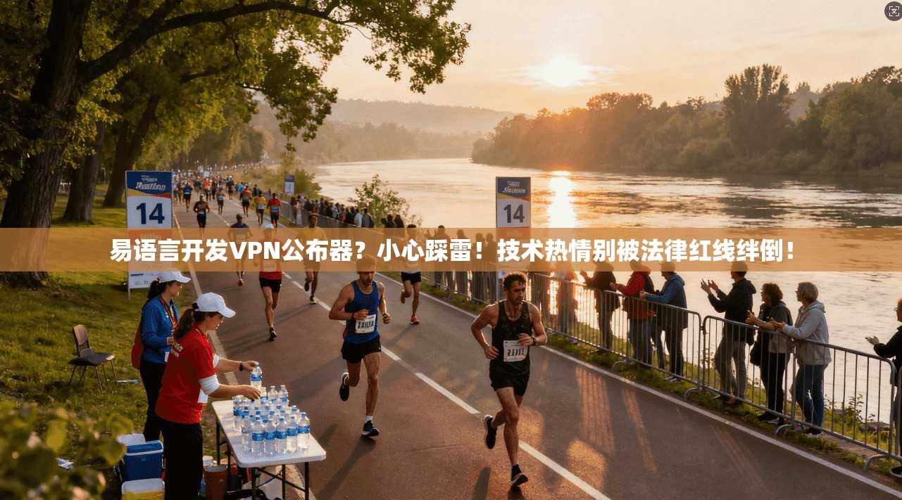易语言开发VPN公布器？小心踩雷！技术热情别被法律红线绊倒！