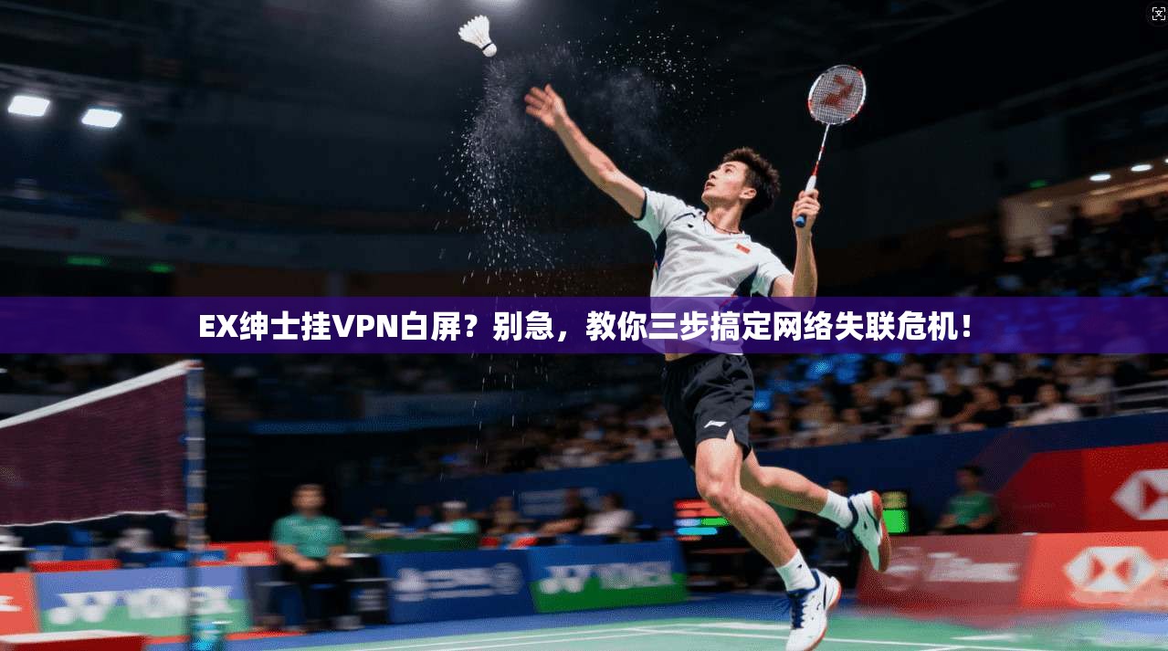 EX绅士挂VPN白屏？别急，教你三步搞定网络失联危机！