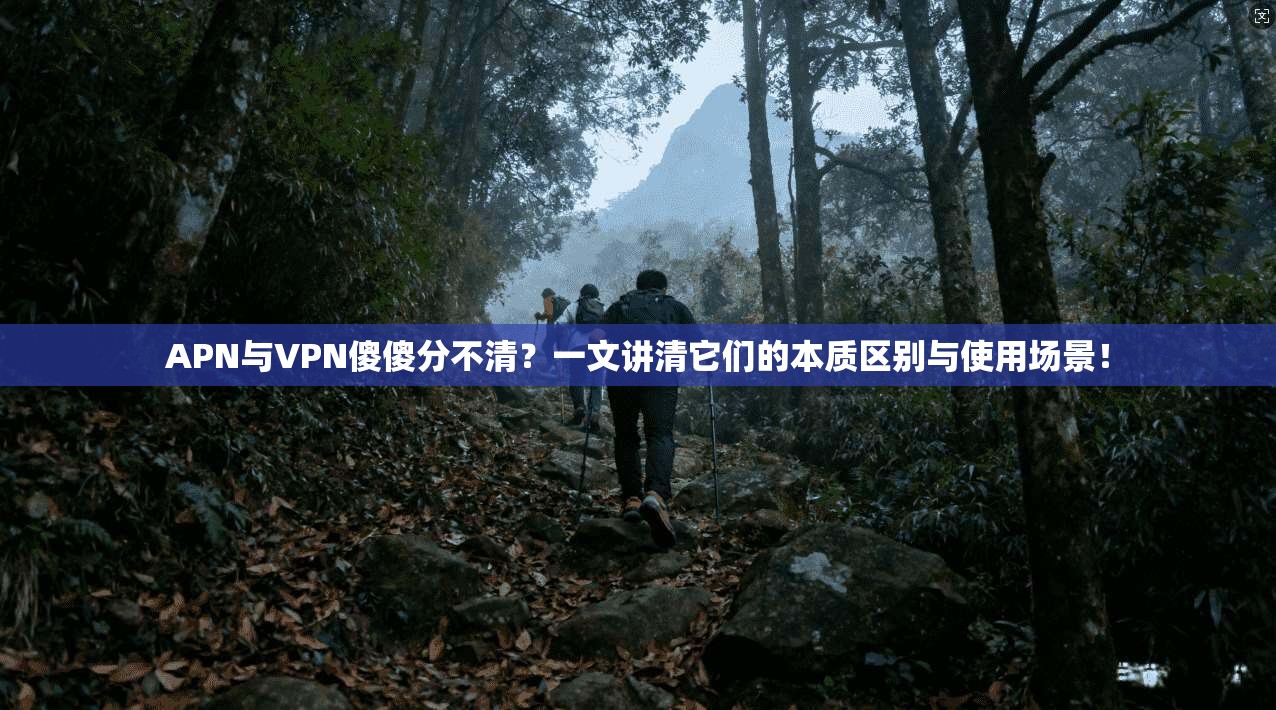 APN与VPN傻傻分不清？一文讲清它们的本质区别与使用场景！
