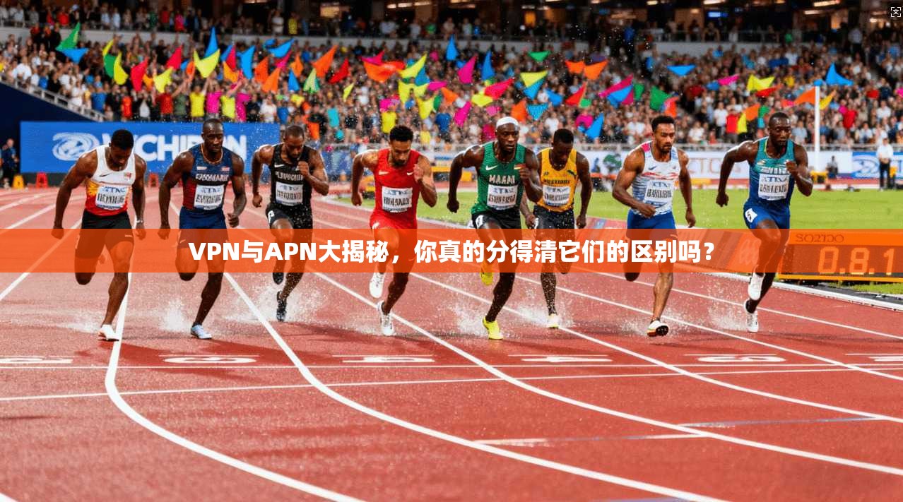 VPN与APN大揭秘,你真的分得清它们的区别吗?