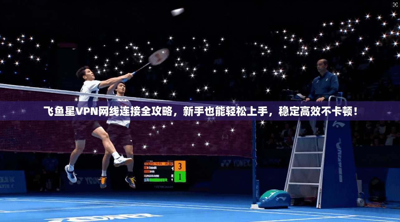 飞鱼星VPN网线连接全攻略,新手也能轻松上手,稳定高效不卡顿!