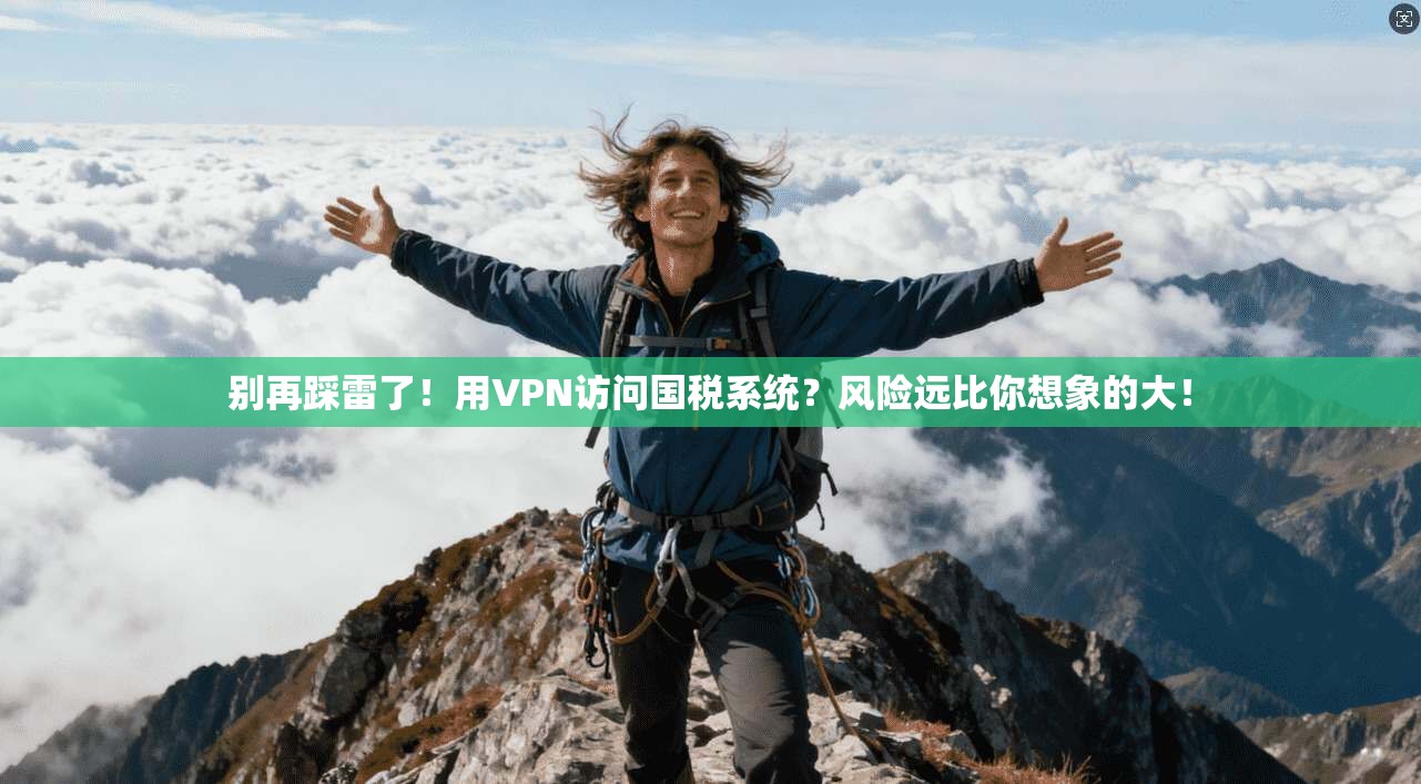 别再踩雷了！用VPN访问国税系统？风险远比你想象的大！