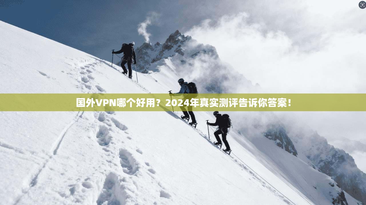 国外VPN哪个好用？2024年真实测评告诉你答案！