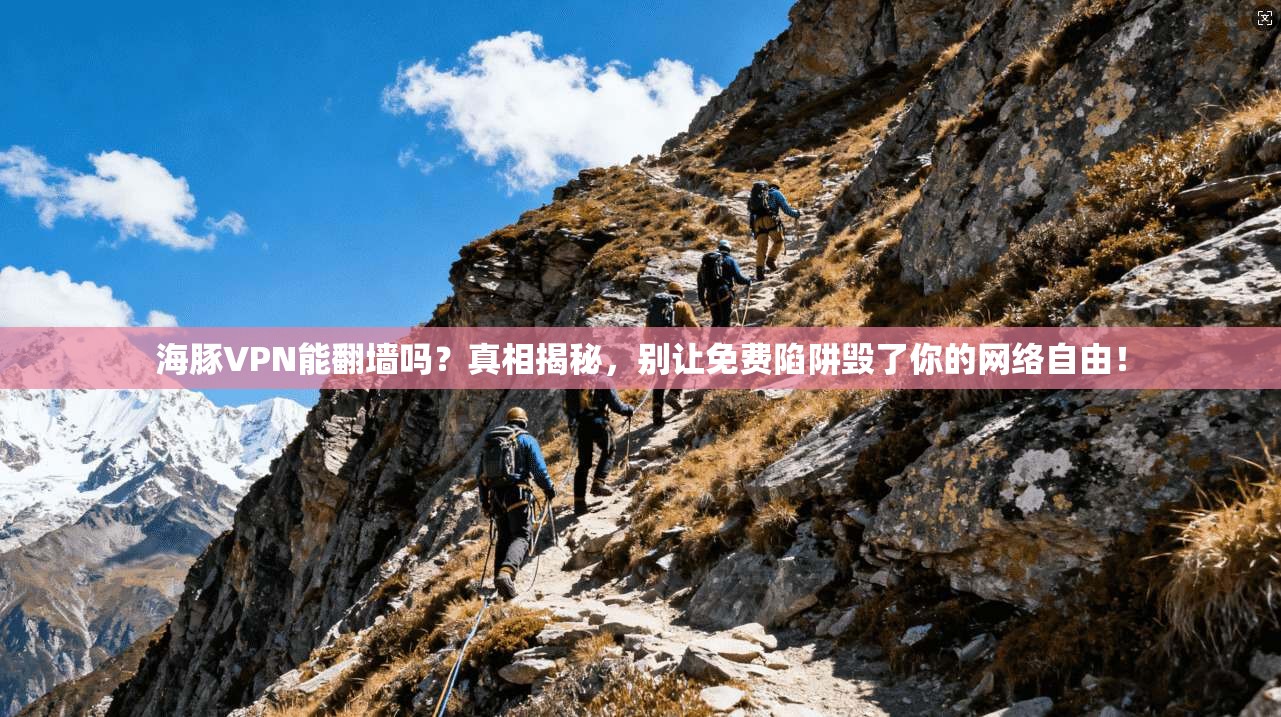 海豚VPN能翻墙吗？真相揭秘，别让免费陷阱毁了你的网络自由！