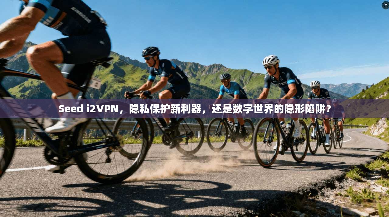 Seed i2VPN，隐私保护新利器，还是数字世界的隐形陷阱？