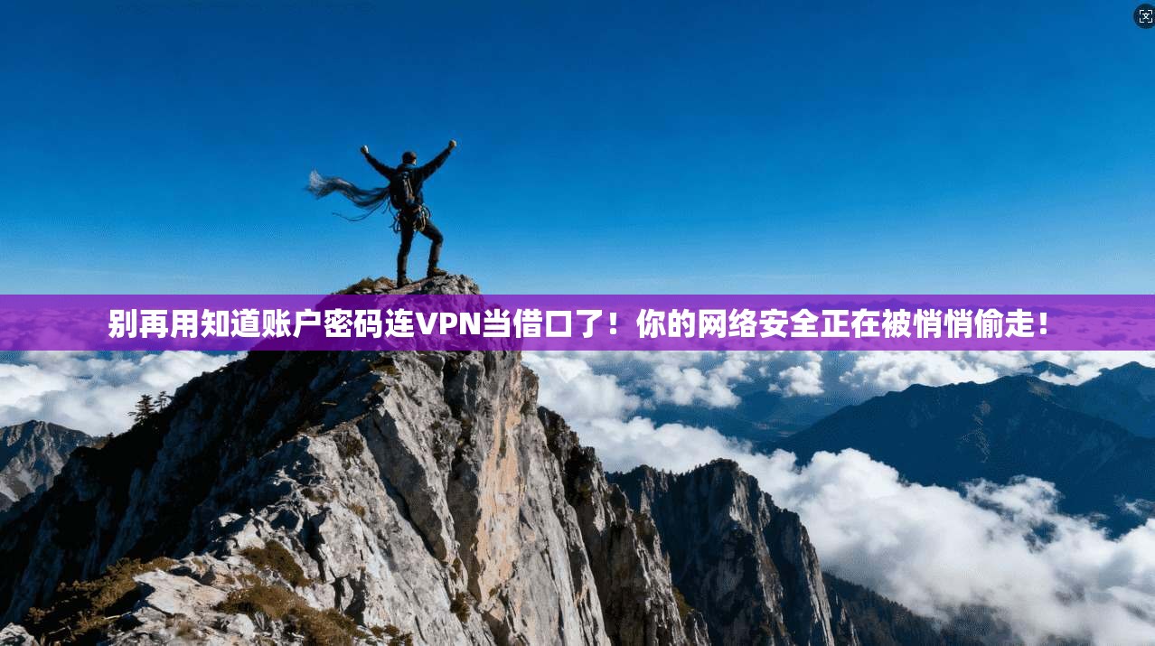 别再用知道账户密码连VPN当借口了！你的网络安全正在被悄悄偷走！