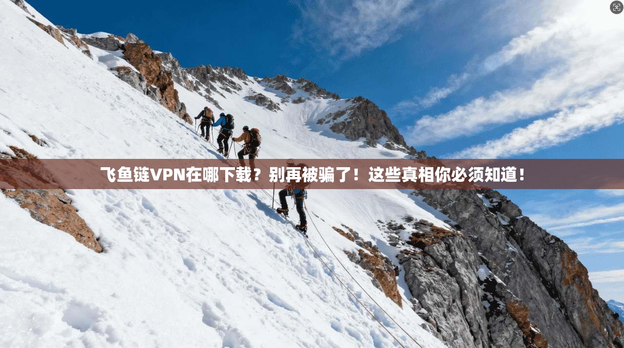 飞鱼链VPN在哪下载？别再被骗了！这些真相你必须知道！