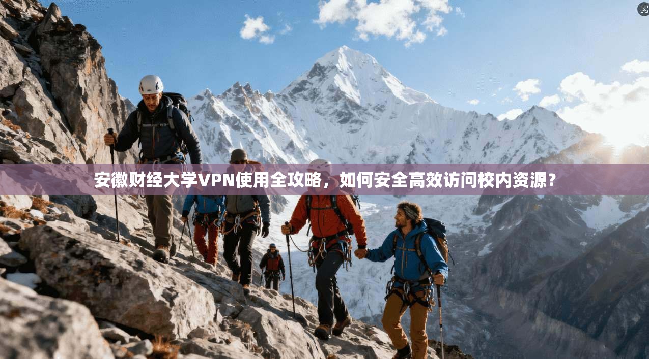 安徽财经大学VPN使用全攻略，如何安全高效访问校内资源？