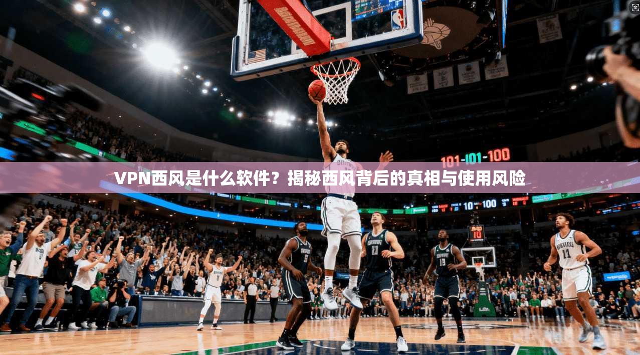 VPN西风是什么软件？揭秘西风背后的真相与使用风险