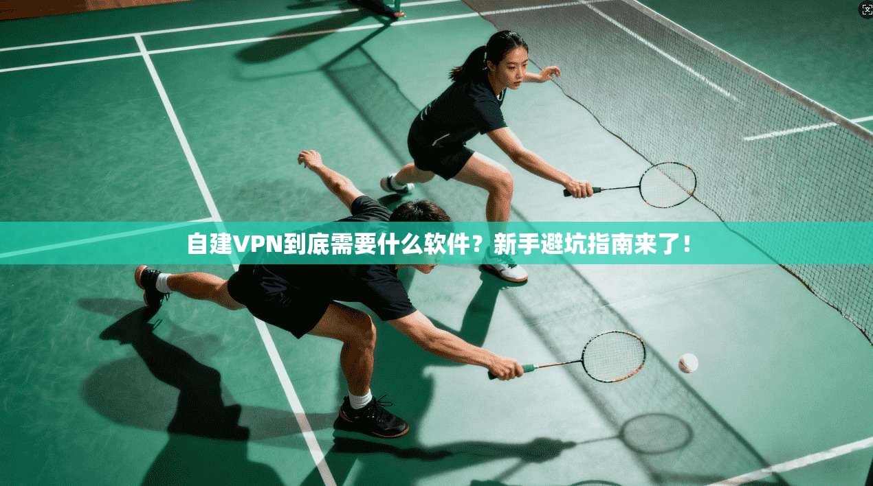 自建VPN到底需要什么软件？新手避坑指南来了！