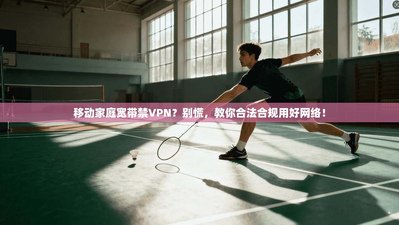 移动家庭宽带禁VPN?别慌,教你合法合规用好网络!