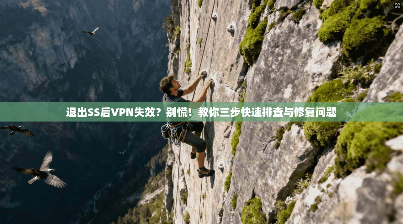 退出SS后VPN失效？别慌！教你三步快速排查与修复问题