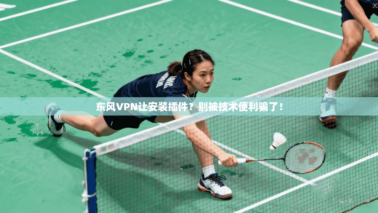 东风VPN让安装插件?别被技术便利骗了!