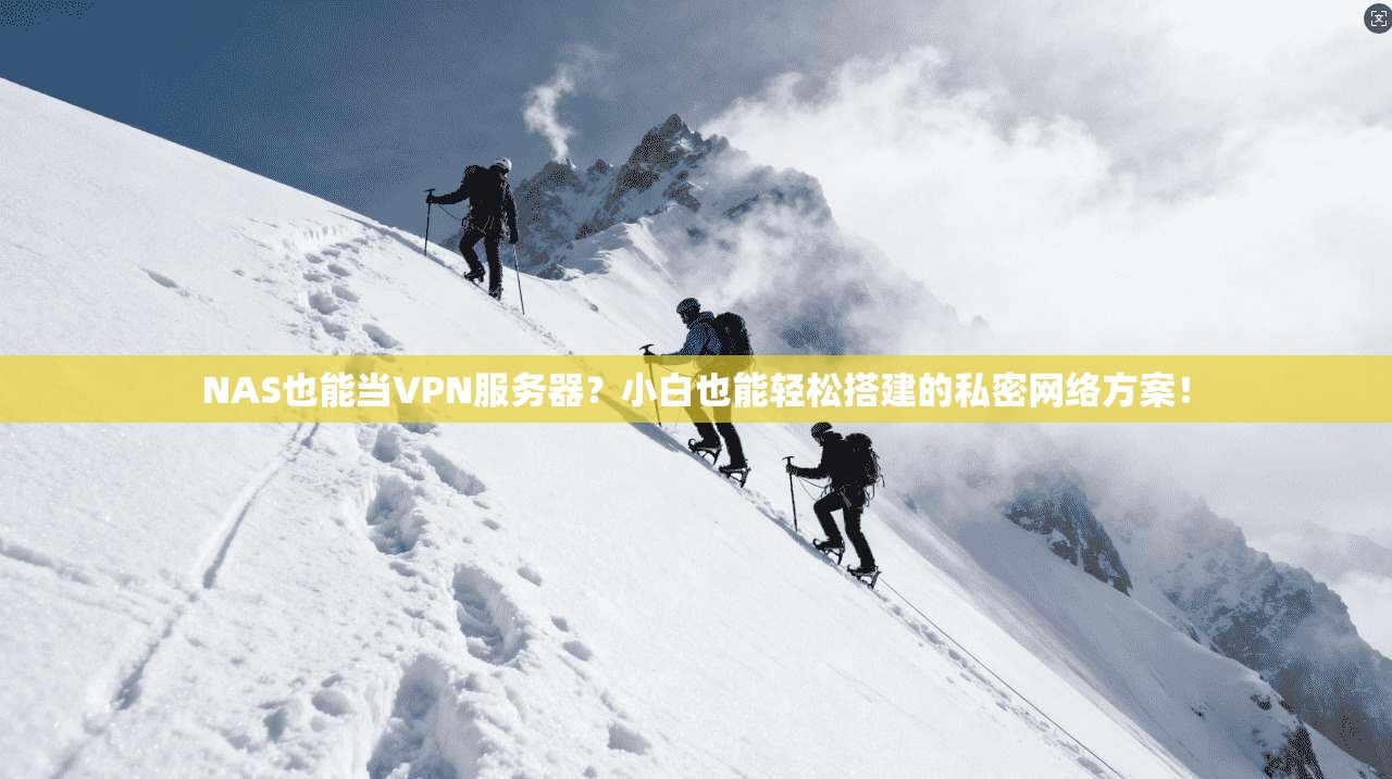 NAS也能当VPN服务器？小白也能轻松搭建的私密网络方案！