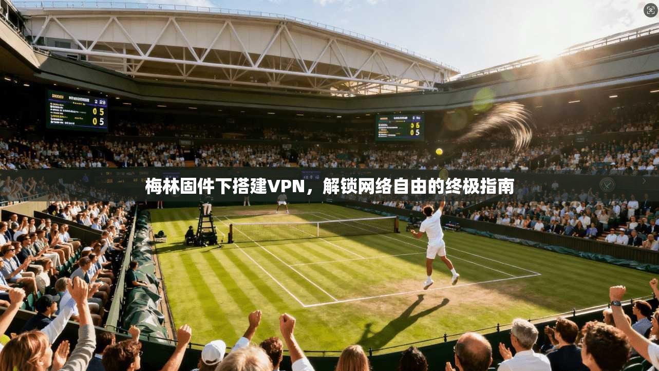 梅林固件下搭建VPN，解锁网络自由的终极指南