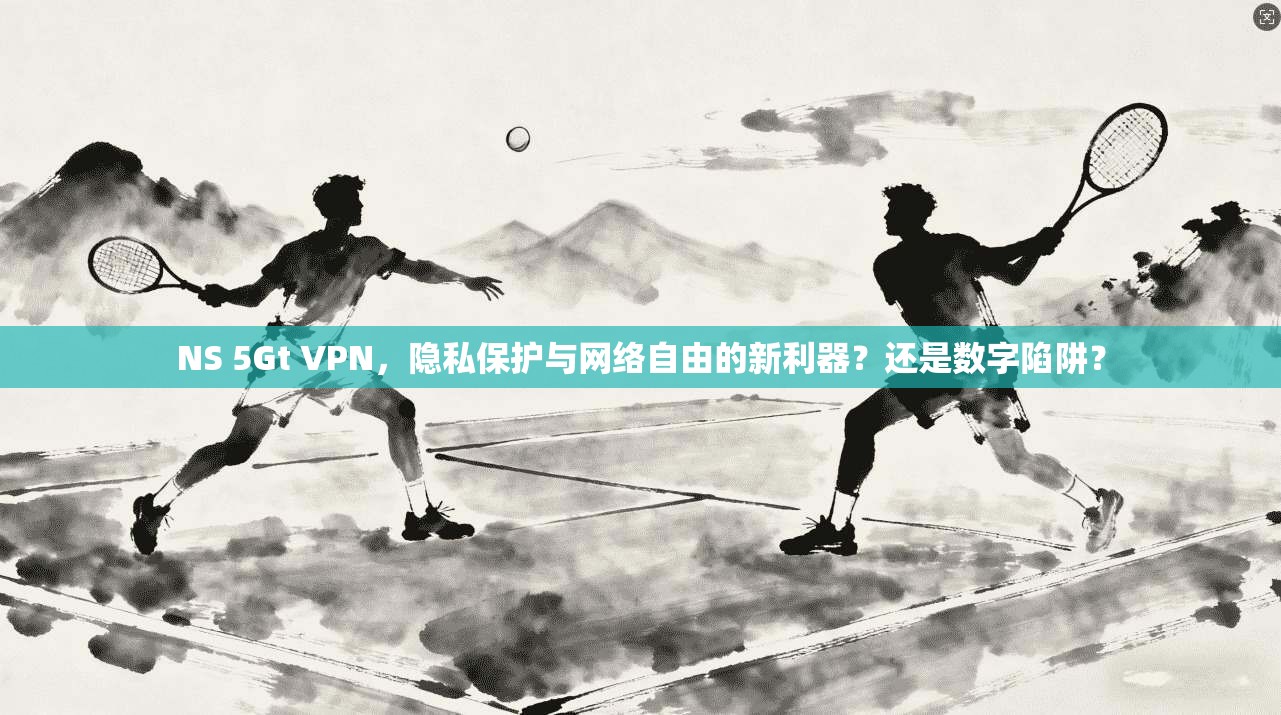 NS 5Gt VPN,隐私保护与网络自由的新利器?还是数字陷阱?