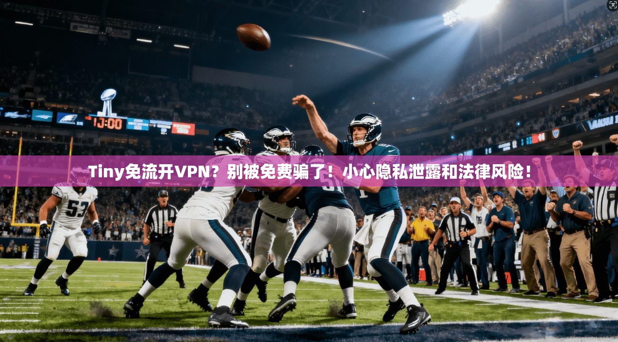 Tiny免流开VPN?别被免费骗了!小心隐私泄露和法律风险!